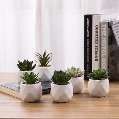 Jarema Faux Succulents in Ceramic Pots