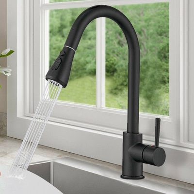 Stainless Steel Kitchen Faucet with Pull Down Sprayer