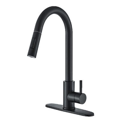 High Arc Stainless Steel Kitchen Faucet with Pull Down Sprayer and Deck Plate