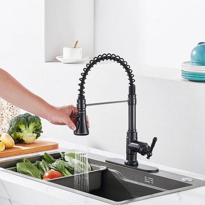 Pull Down Single Handle Kitchen Faucet with Deck Plate
