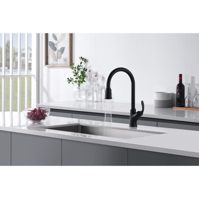 Stilleto Collection High-Arc Single Handle Pull-Down Kitchen Faucet