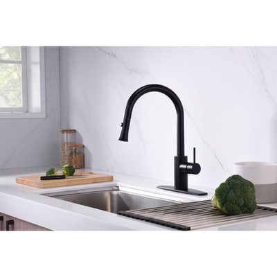 Euro Collection High-Arc Single Handle Pull-Down Kitchen Faucet