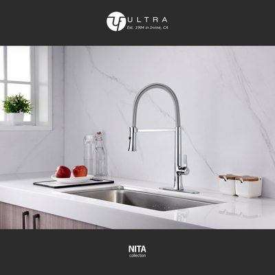 Nita Collection High-Arc Single Handle Pull-Out Spring Spout Kitchen Faucet