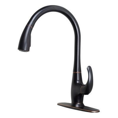Nita Vantage Single Handle Pull-Down Kitchen Faucet