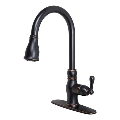 Prime Collection High-Arc Single Handle Pull-Down Kitchen Faucet