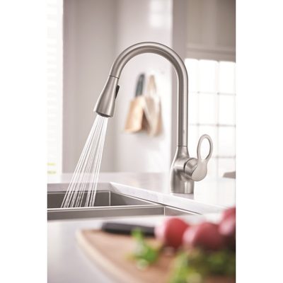 Moen Kleo Single-Handle Kitchen Faucet with Duralock