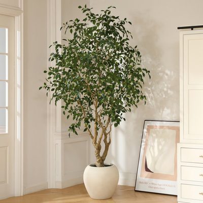 Adcock 8 ft Artificial Ficus Tree in White Planter