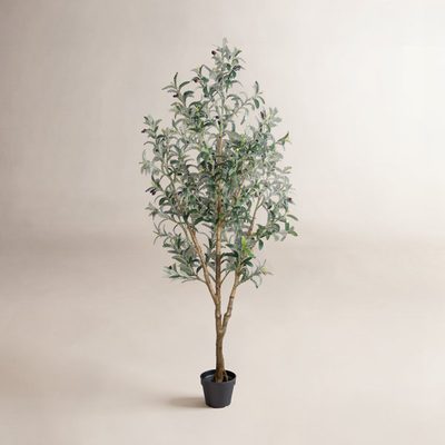 6 ft Faux Olive Tree with Fruit and Realistic Leaves