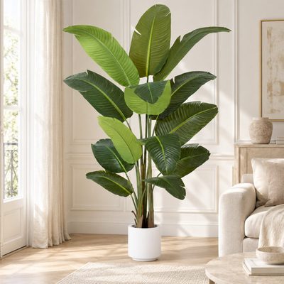 6 ft Artificial Traveler's Palm in White Planter