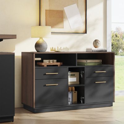 Adonia 41 Inch 4-Drawer Lateral File Cabinet with Lock and Power