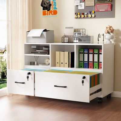 Farmhouse 2-Drawer Filing Cabinet with Lock