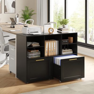 Modern 2-Drawer Lateral File Cabinet with Open Shelf
