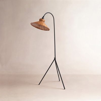 Plumeria 63.75" Black Arched Floor Lamp
