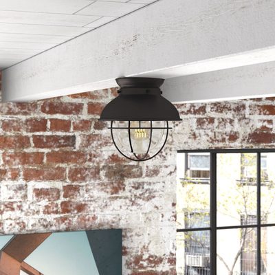 Rhone 9" Caged Globe Steel Flush Mount