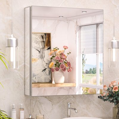 Omeed Mirrored Aluminum Medicine Cabinet