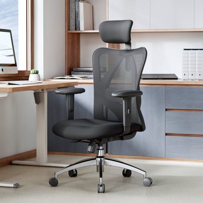 SIHOO Ergonomic Mesh Office Chair with Adjustable Lumbar Support