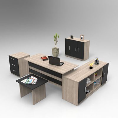 5-Piece Writing Desk Office Set