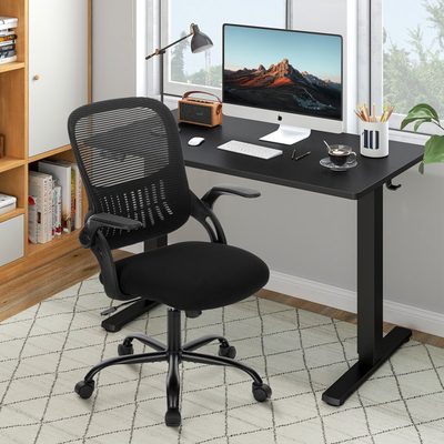 Ovidia Office Set: Electric Standing Desk and Mesh Office Chair