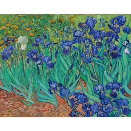 Irises, Vincent van Gogh
