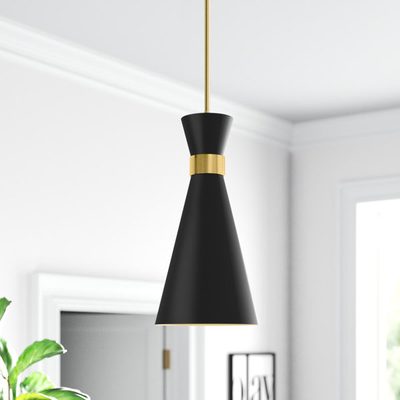 Ivy Bronx 1-Light Single Pendant