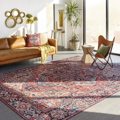 Hartley Oriental Indoor Rug