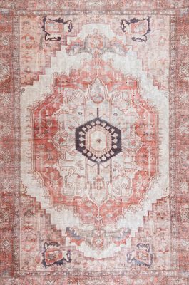 Iris Medallion Washable Rug – Blush