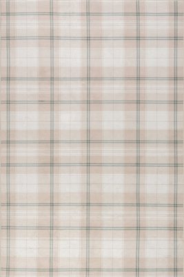 Raye Plaid Spill Proof Washable Rug – Beige