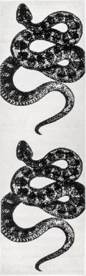 Simple Serpent Rug – Black & Off White