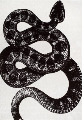 Simple Serpent Rug – Black & Off White