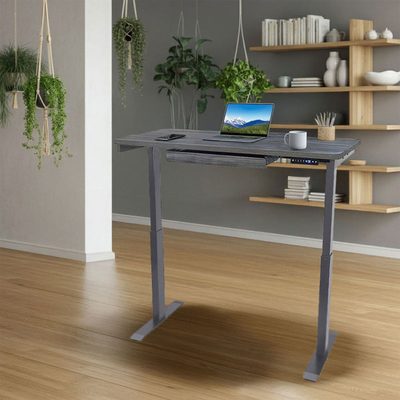 Kaylan RISE 2 48" Electric Sit-Stand Desk with Drawer