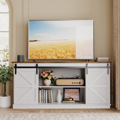 Hartin 58" TV Stand with Sliding Barn Doors for TVs up to 65"