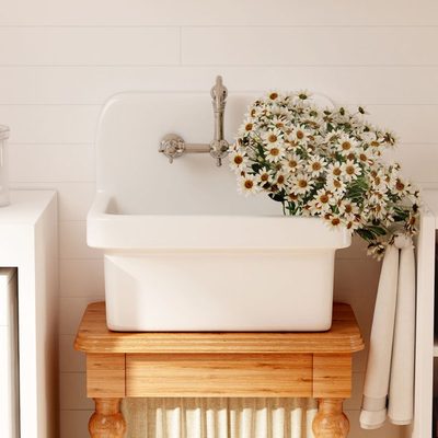 Mason 21" Farmhouse Ceramic Laundry Sink, Wall Mount
