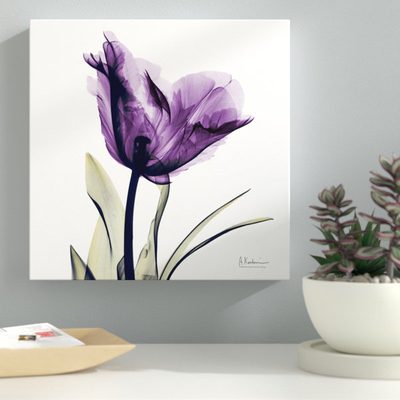 Tulip Dream Graphic Art Print on Wrapped Canvas