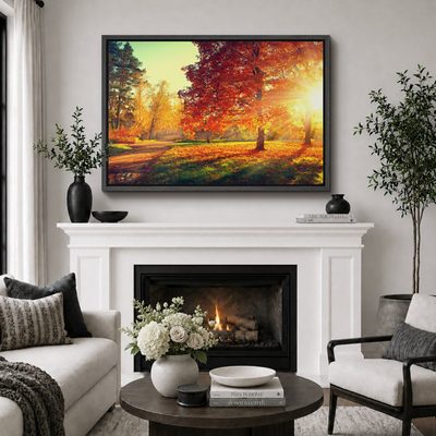 Autumn Fall Color Autumn Scene Fall Forest Maple Trees