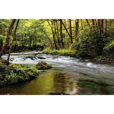 Sunlight on Jakes Creek I by Danny Head