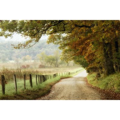 Autumn on a Country Road by Danny Head