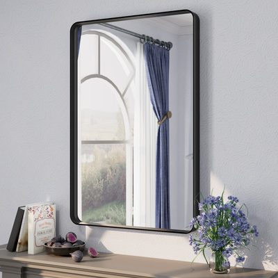 Aevar Tempered Glass and Aluminum Framed Wall Mirror