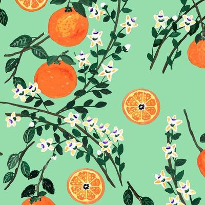 Arance Dolci Wallpaper by Carly Beck – Jade