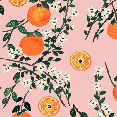 Arance Dolci Wallpaper by Carly Beck – Pink