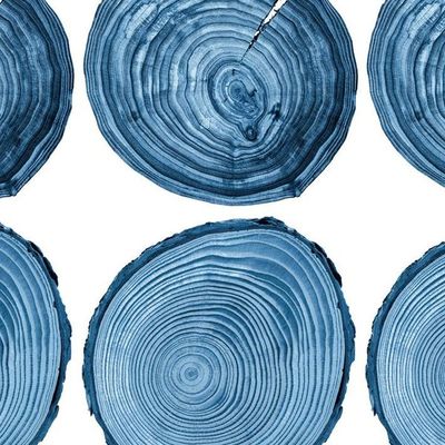 Deux Bois Wallpaper by Nathan Turner – Blue