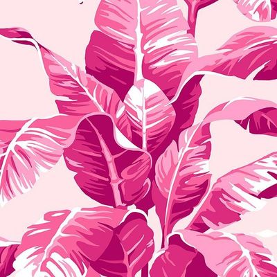 Electric Palm Wallpaper by Nathan Turner – Pink