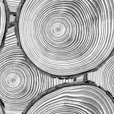 Faux Bois Wallpaper by Nathan Turner – Onyx