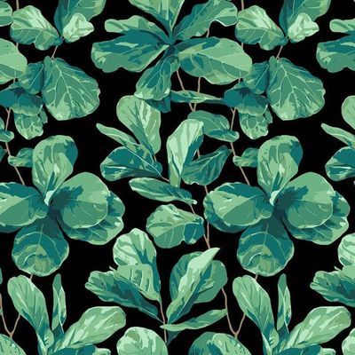 Fiddle Fig Wallpaper by Nathan Turner – Onyx