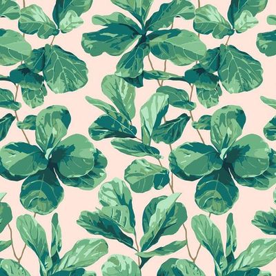Fiddle Fig Wallpaper by Nathan Turner – Peach
