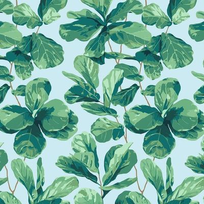 Fiddle Fig Wallpaper by Nathan Turner – Sky