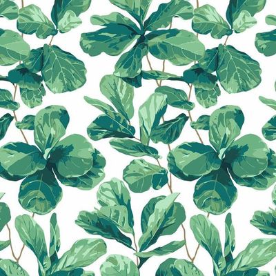 Fiddle Fig Wallpaper by Nathan Turner – White