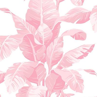 Pacifico Palm Wallpaper by Nathan Turner – Garcelle Pink