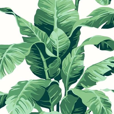 Pacifico Palm Wallpaper by Nathan Turner – Ivory
