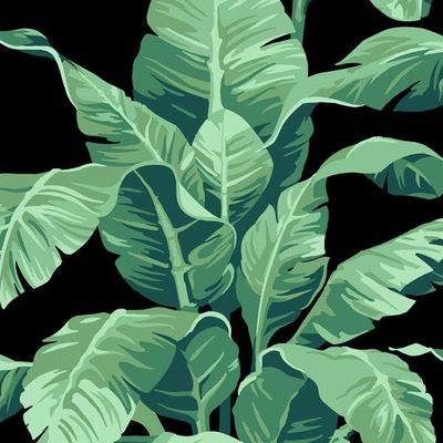 Pacifico Palm Wallpaper by Nathan Turner – Onyx