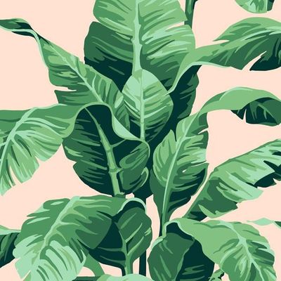 Pacifico Palm Wallpaper by Nathan Turner – Peach